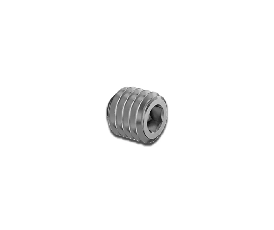 WORKHORSE GAS BLOCK SET SCREW
