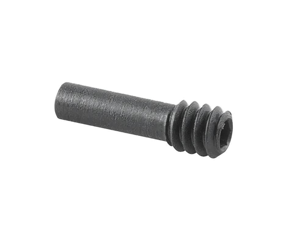 AR15/M16/M4 BAD BOLT CATCH SCREW